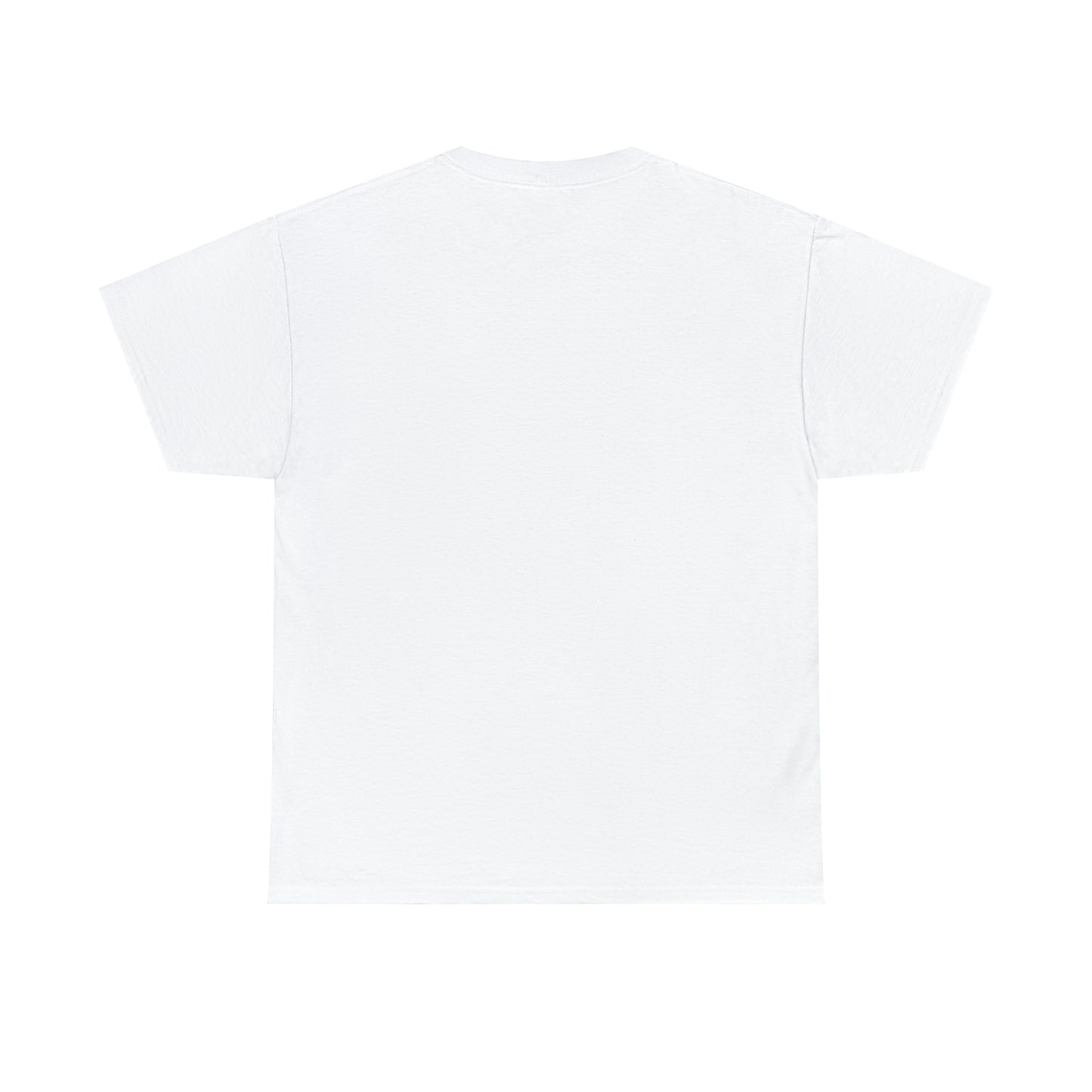 "Zone 4" Unisex Heavy Cotton Tee